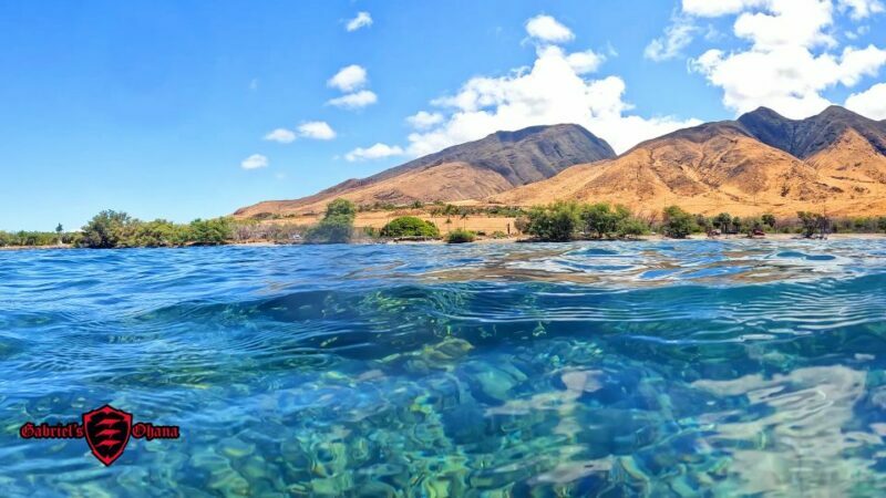 Olowalu: Guided Clear Kayak Tour - Unlimited - Pricing and Value