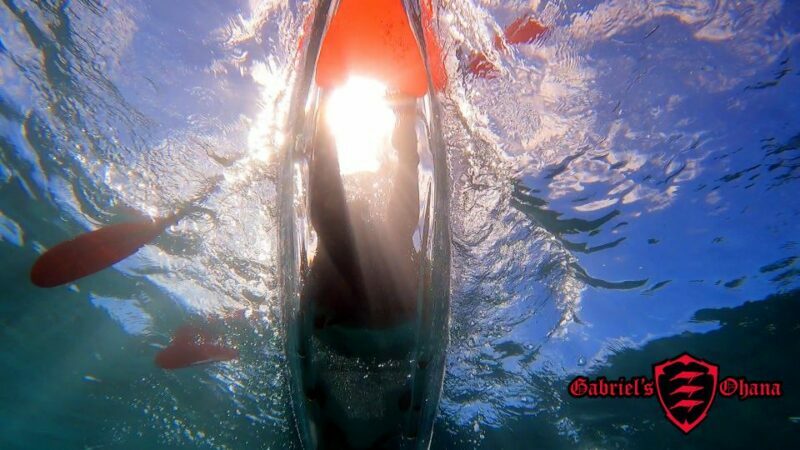 Olowalu: Guided Clear Kayak Tour - Unlimited - Authentic Reviews: What Participants Are Saying