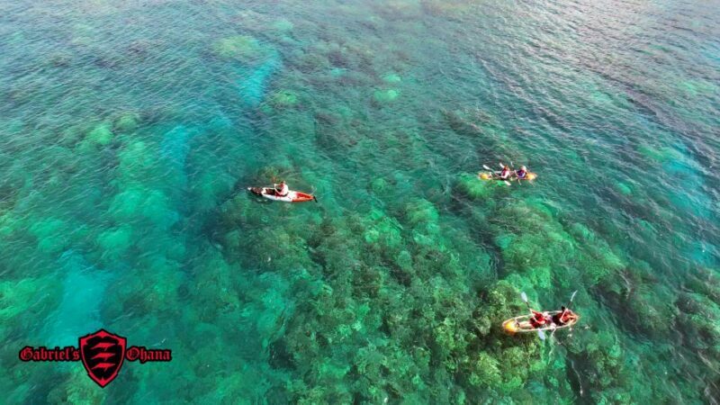 Olowalu: Guided Clear Kayak Tour - Unlimited - Frequently Asked Questions