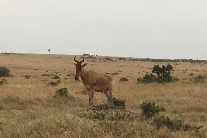 Olpejeta Conservancy Day Tour - Additional Information