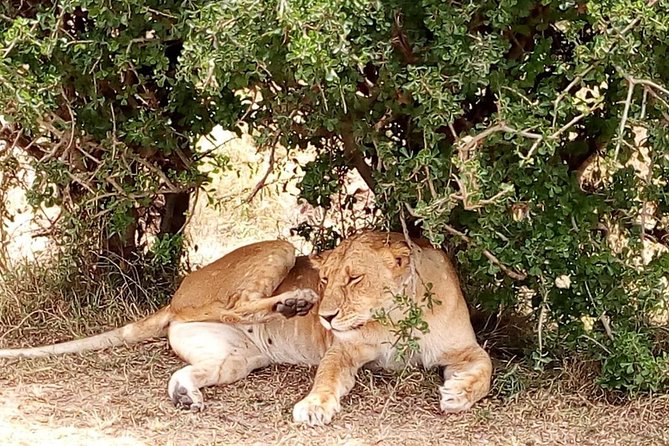 Olpejeta Conservancy Day Tour - Pricing and Cancellation Policy