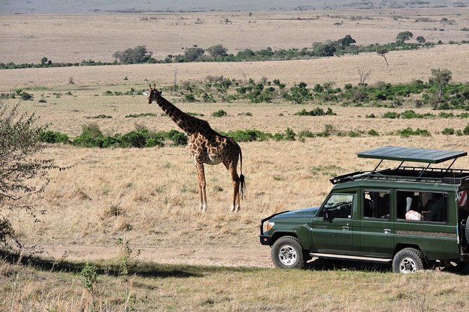 Olpejeta, Lake Naivasha, Masai Mara 5 Days Private Kenya Jeep Tour - Inclusions and Amenities