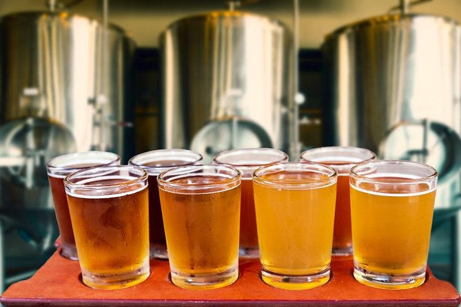 Olsztyn Private Polish Beer Tasting Tour - Tour Overview