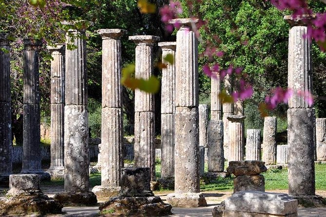 Olympia Shore Excursion: Ancient Olympia Plus Honey Farm & Olive Oil Tasting - Highlights of the Experience
