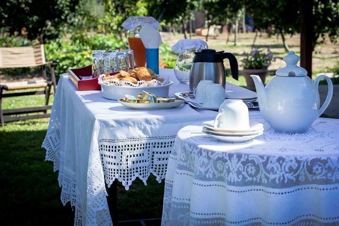 Olympia Shore Excursion: Ancient Olympia Plus Honey Farm & Olive Oil Tasting - Guest Reviews and Feedback