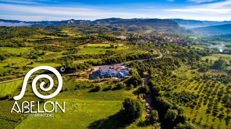 Olympia Treasures: Private Olive Oil and Wine Tasting Tour - Itinerary Details