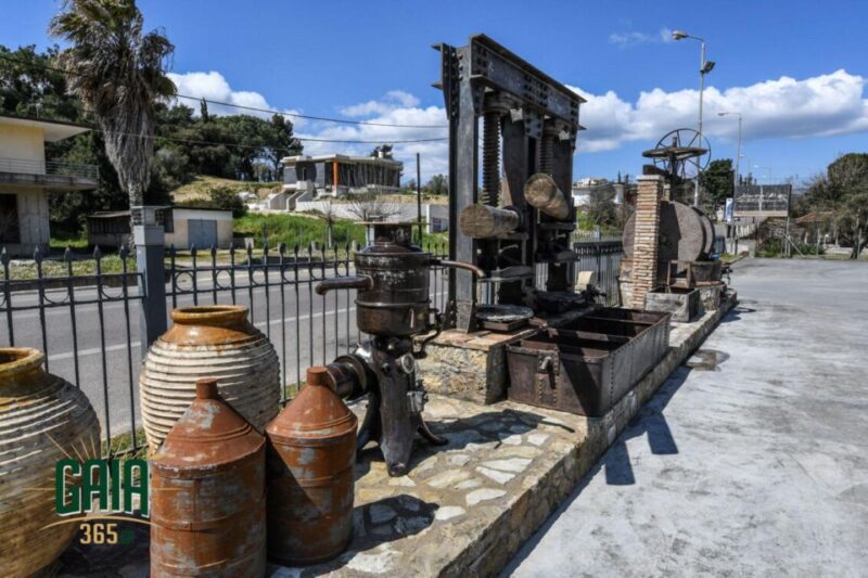 Olympia Treasures: Private Olive Oil and Wine Tasting Tour - Highlights of the Tour