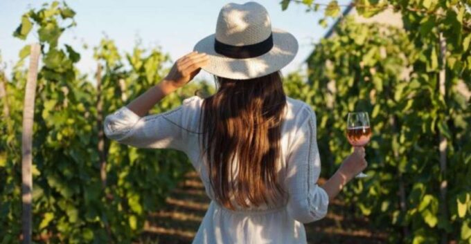 Olympia Treasures: Private Olive Oil and Wine Tasting Tour - Frequently Asked Questions
