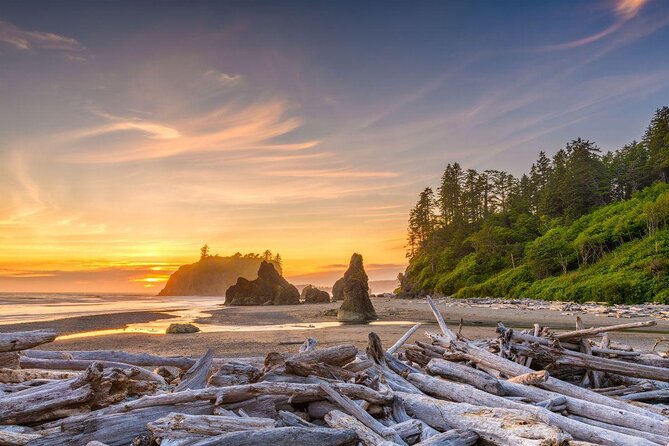 Olympic Full Day Private Tour and Hike - Tour Features