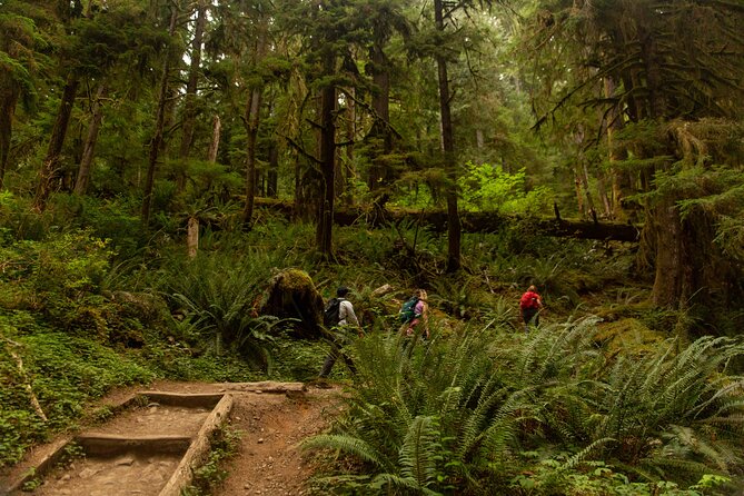 Olympic Full Day Private Tour and Hike - Tour Timing and Accessibility