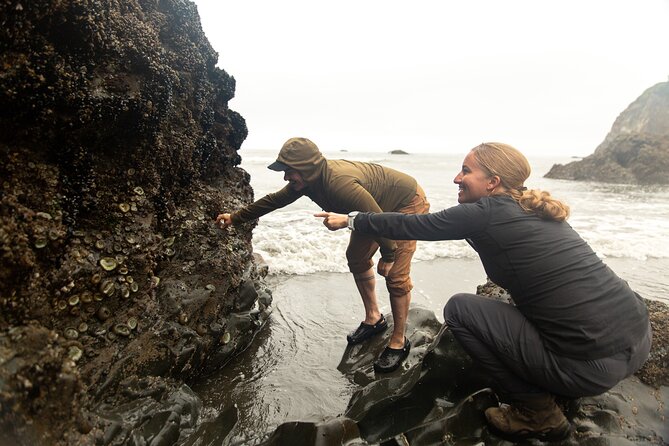 Olympic Full Day Private Tour and Hike - Coastal Beaches