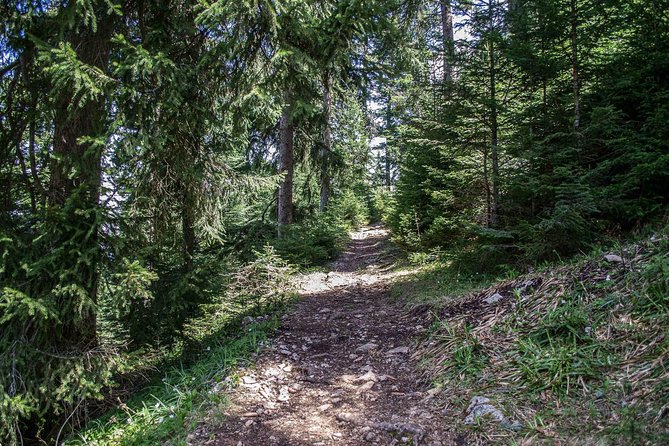 Olympic Mountain Trebević Hike - Booking and Cancellation