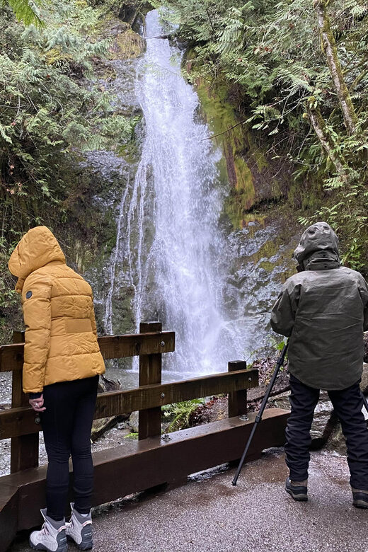 Olympic National Park: Half-Day Tour - Key Points