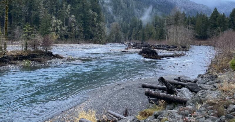 Olympic National Park: Half-Day Tour - An In-Depth Look at the Olympic National Park Half-Day Tour