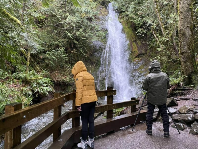 Olympic National Park: Half-Day Tour - The Sum Up