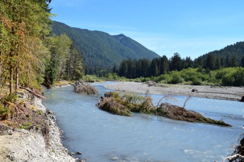 Olympic National Park: Hoh Rain Forest and Rialto Beach Tour - Itinerary and Activities