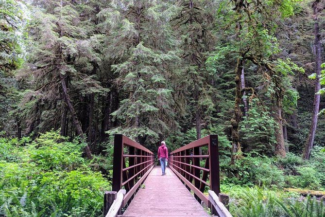 Olympic National Park Luxury Small-Group Day Tour With Lunch - Hurricane Ridge