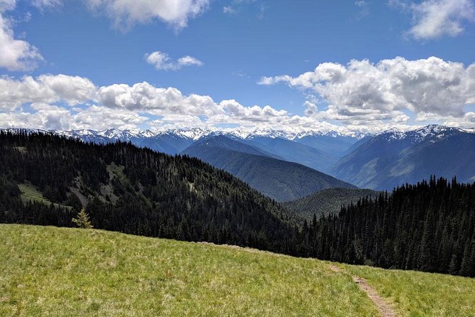Olympic National Park Luxury Small-Group Day Tour With Lunch - Gourmet Picnic Lunch