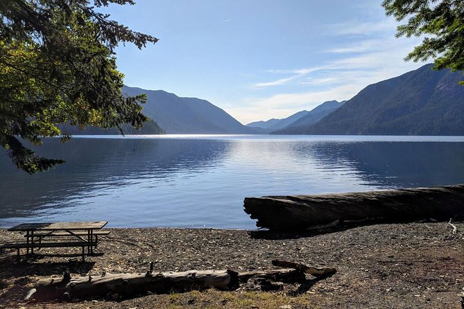 Olympic National Park Luxury Small-Group Day Tour With Lunch - Important Information and Reviews