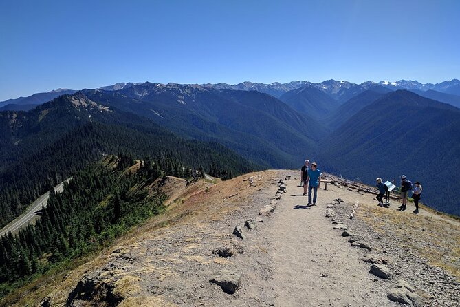 Olympic National Park - Private Luxury Day Tour With Lunch - Customer Reviews