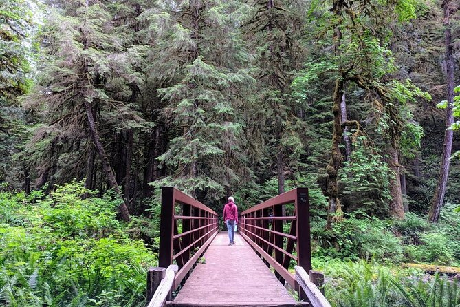 Olympic National Park - Private Luxury Day Tour With Lunch - Tour Operator and Ratings