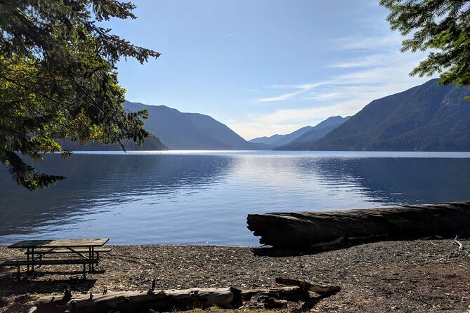 Olympic National Park - Private Luxury Day Tour With Lunch - Tour Activities and Duration