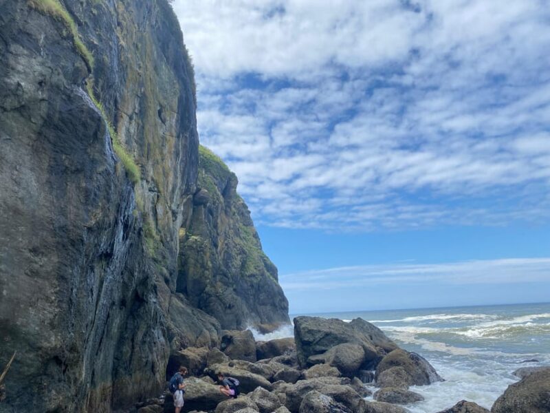 Olympic National Park Rainforest and Beach (Small Group) - Key Points