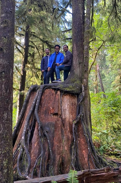 Olympic National Park Rainforest and Beach (Small Group) - Rainforest Exploration
