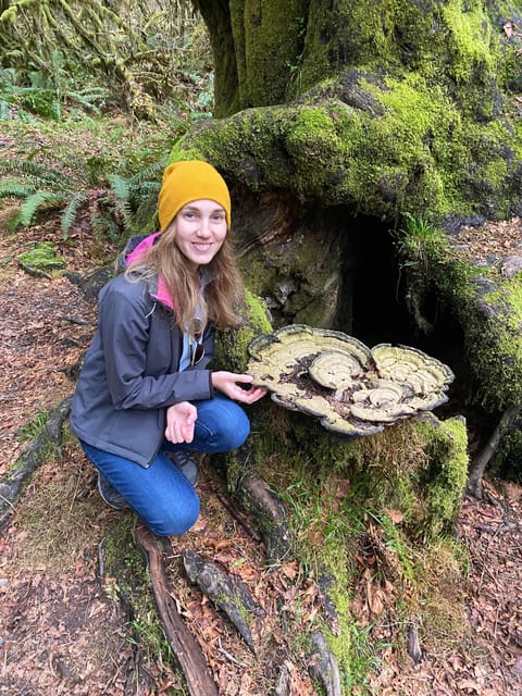 Olympic National Park Rainforest and Beach (Small Group) - Ruby Beach Adventure