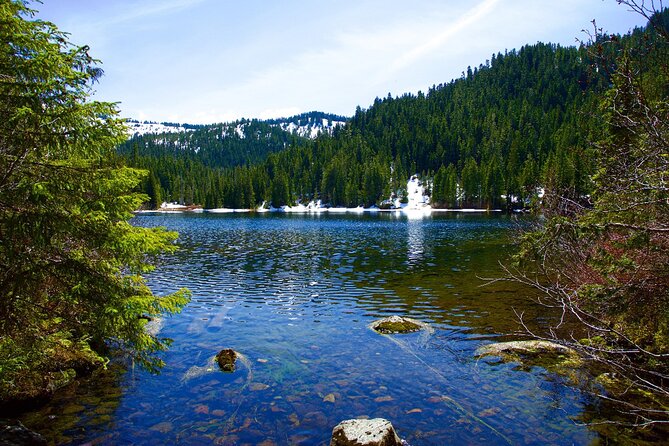 Olympic National Park Self-Guided Driving Audio Tour - Tour Experience