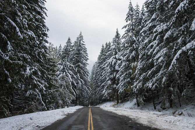 Olympic National Park Self-Guided Driving Audio Tour - Discovering Coastal Wonders