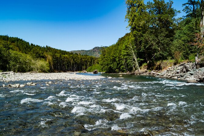 Olympic National Park Self-Guided Driving Audio Tour - Exploring Lush Rainforests