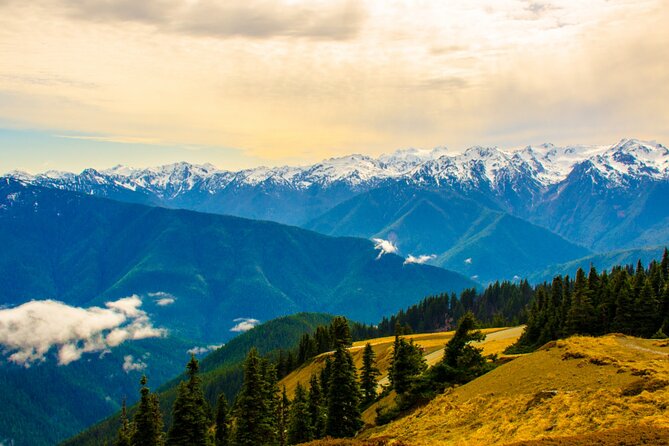 Olympic National Park Self-Guided Driving Audio Tour - Trekking to Stunning Peaks