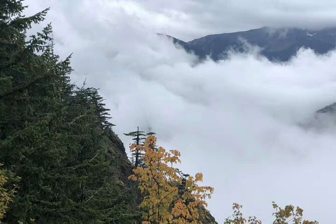 Olympic National Park, Snoqualmie Falls 2-Day Tour From Seattle - Terms and Conditions