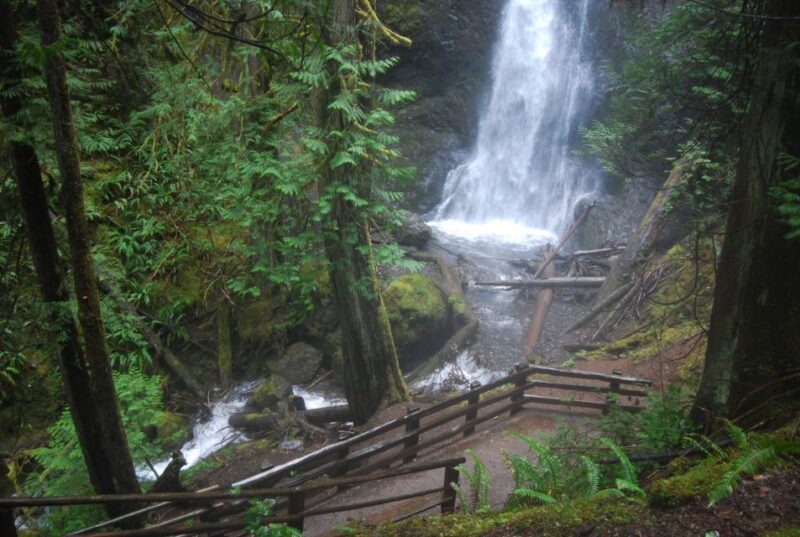 Olympic National Park: Sol Duc and Hurricane Ridge Tour - Itinerary