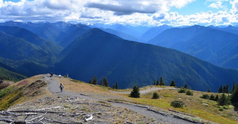 Olympic National Park: Sol Duc and Hurricane Ridge Tour - Participant Information
