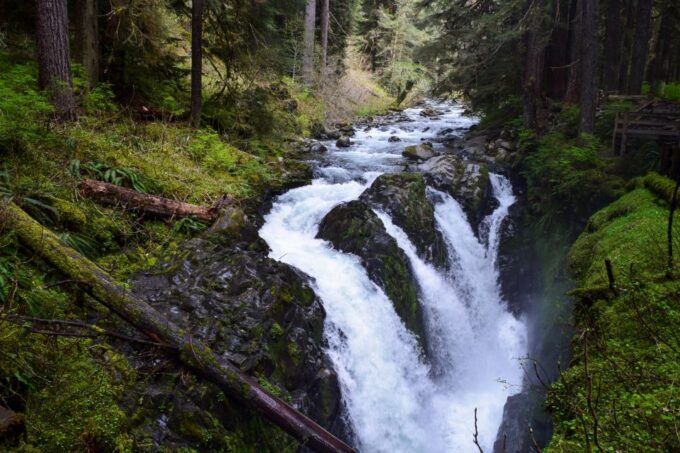 Olympic National Park: Sol Duc and Hurricane Ridge Tour - Departure Location