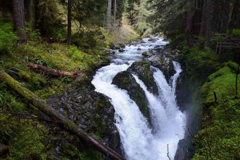 Olympic National Park: Sol Duc Falls & Hurricane Ridge Tour - Pricing and Value