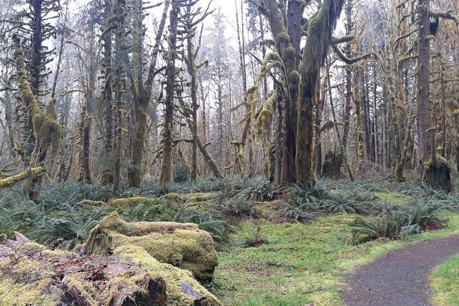 Olympic Peninsula and Forest Tour - Logistics
