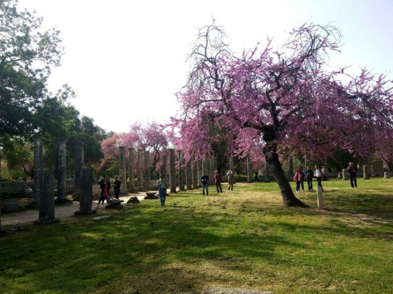 Olympic Site All-Inclusive Private Tour With a Local Expert - Ancient Training Facilities