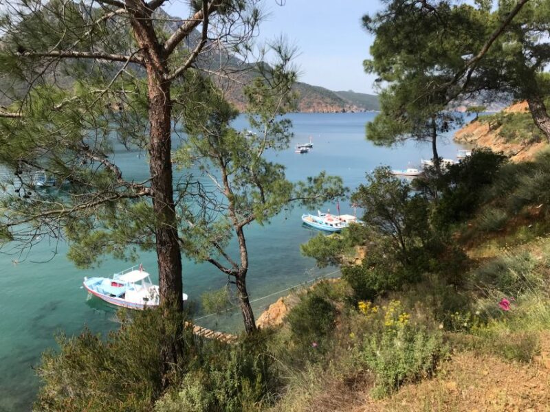 Olympos, Cirali, Chimera Night Tour With Dinner at Ulupinar - Important Information