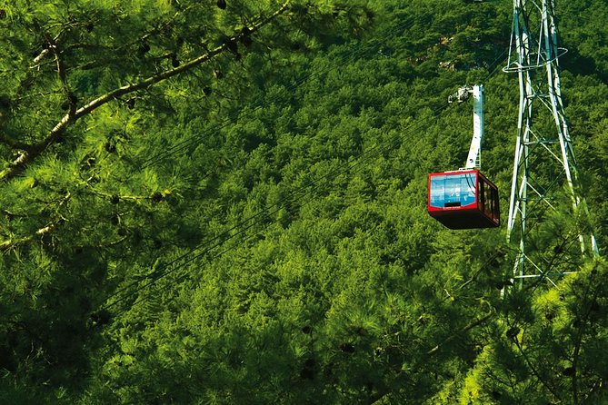 Olympos Teleferik Cable Car Antalya Ticket - Accessibility and Inclusive Features