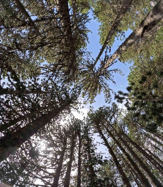 Olympus: Introduction to Mountain Hiking - Preparing for the Hike