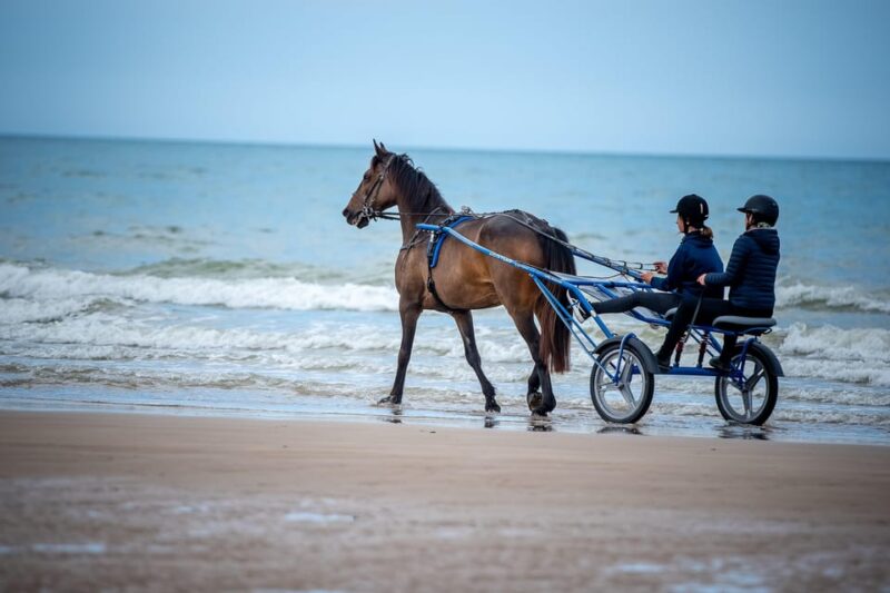 Omaha Beach: Sulky Baptism on the Beach - Key Points