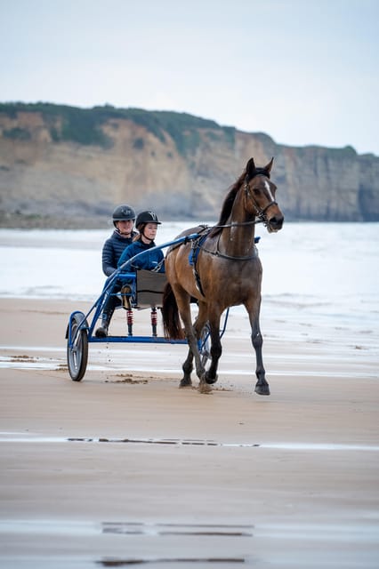 Omaha Beach: Sulky Baptism on the Beach - Historical Significance of Omaha Beach