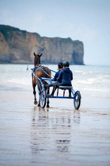 Omaha Beach: Sulky Baptism on the Beach - Booking and Pricing Information
