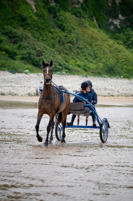 Omaha Beach: Sulky Baptism on the Beach - Private Group Option and Meeting Point