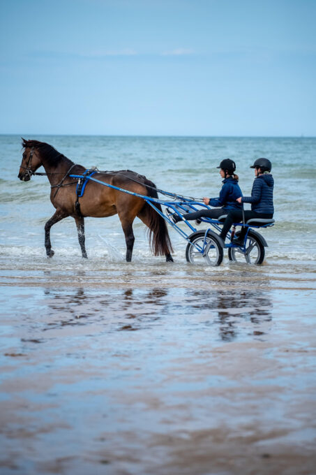 Omaha Beach: Sulky Baptism on the Beach - Highlights of the Experience