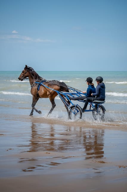 Omaha Beach: Sulky Baptism on the Beach - What to Expect During the Sulky Baptism