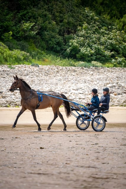 Omaha Beach: Sulky Baptism on the Beach - Frequently Asked Questions